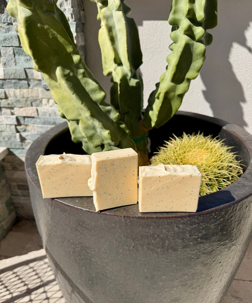 Exfoliating Palo Santo & Mahogany